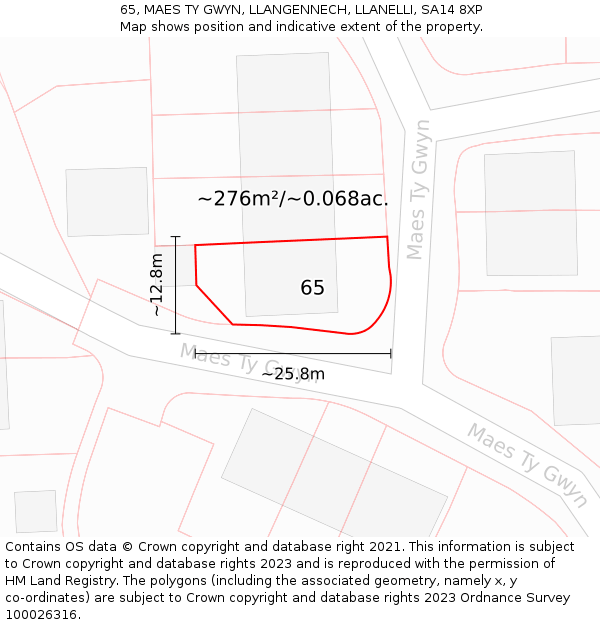 65, MAES TY GWYN, LLANGENNECH, LLANELLI, SA14 8XP: Plot and title map