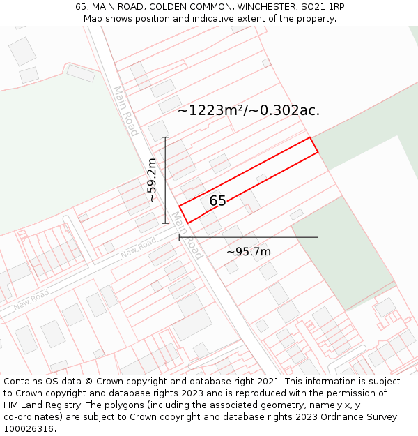 65, MAIN ROAD, COLDEN COMMON, WINCHESTER, SO21 1RP: Plot and title map