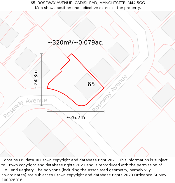 65, ROSEWAY AVENUE, CADISHEAD, MANCHESTER, M44 5GG: Plot and title map