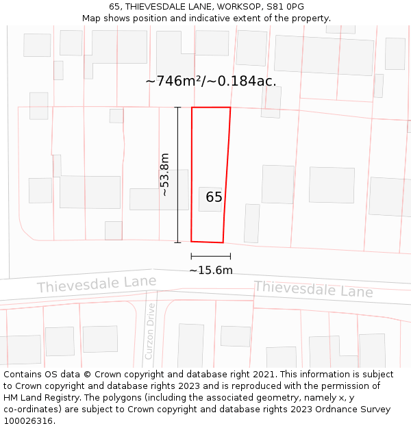 65, THIEVESDALE LANE, WORKSOP, S81 0PG: Plot and title map