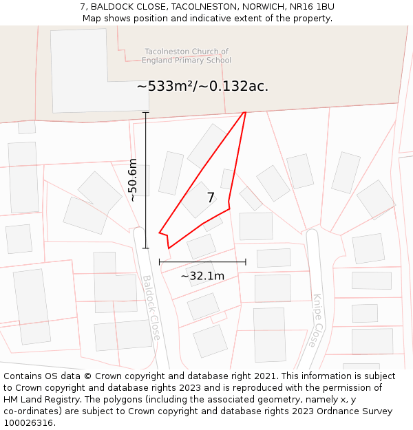 7, BALDOCK CLOSE, TACOLNESTON, NORWICH, NR16 1BU: Plot and title map