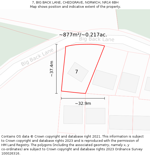 7, BIG BACK LANE, CHEDGRAVE, NORWICH, NR14 6BH: Plot and title map