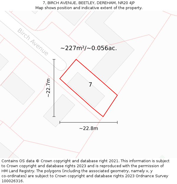 7, BIRCH AVENUE, BEETLEY, DEREHAM, NR20 4JP: Plot and title map