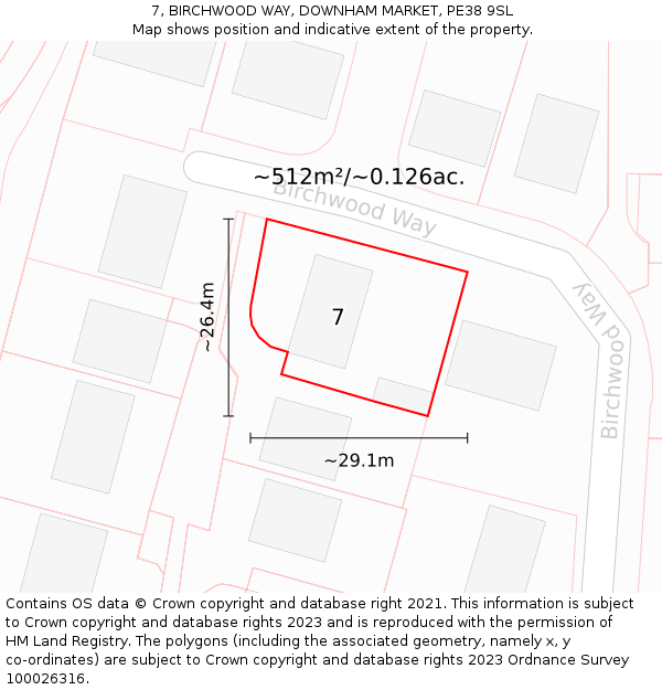 7, BIRCHWOOD WAY, DOWNHAM MARKET, PE38 9SL: Plot and title map