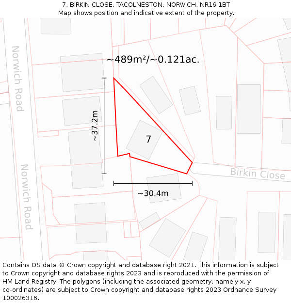 7, BIRKIN CLOSE, TACOLNESTON, NORWICH, NR16 1BT: Plot and title map