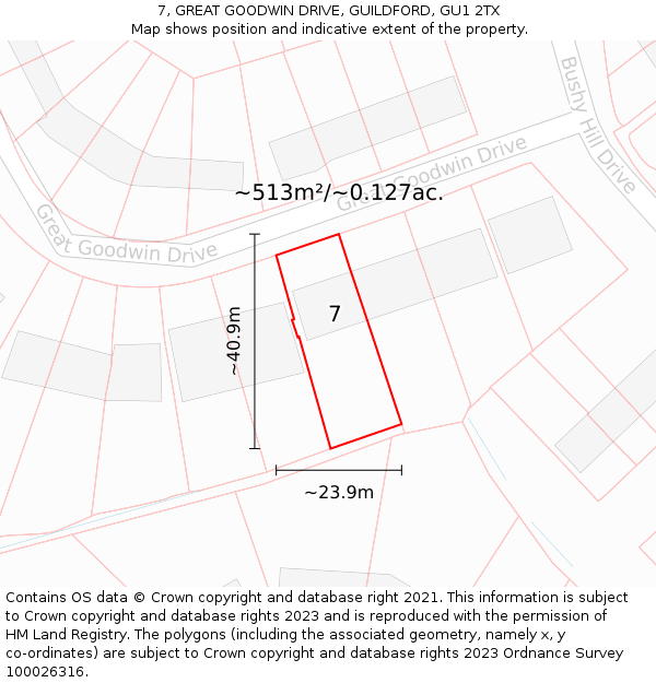 7, GREAT GOODWIN DRIVE, GUILDFORD, GU1 2TX: Plot and title map