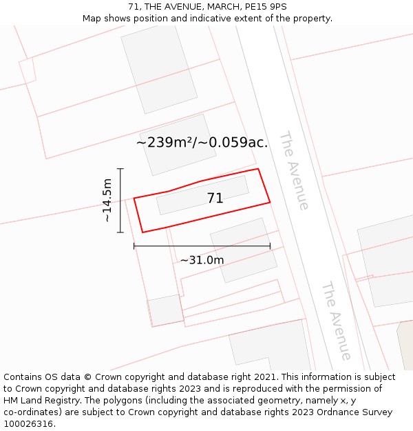 71, THE AVENUE, MARCH, PE15 9PS: Plot and title map