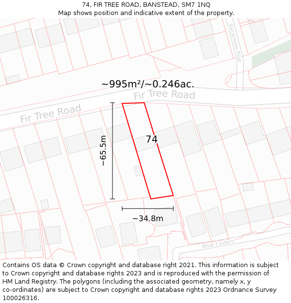 74, FIR TREE ROAD, BANSTEAD, SM7 1NQ: Plot and title map