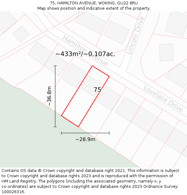 75, HAMILTON AVENUE, WOKING, GU22 8RU: Plot and title map