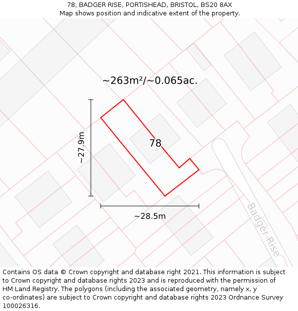 78, BADGER RISE, PORTISHEAD, BRISTOL, BS20 8AX: Plot and title map