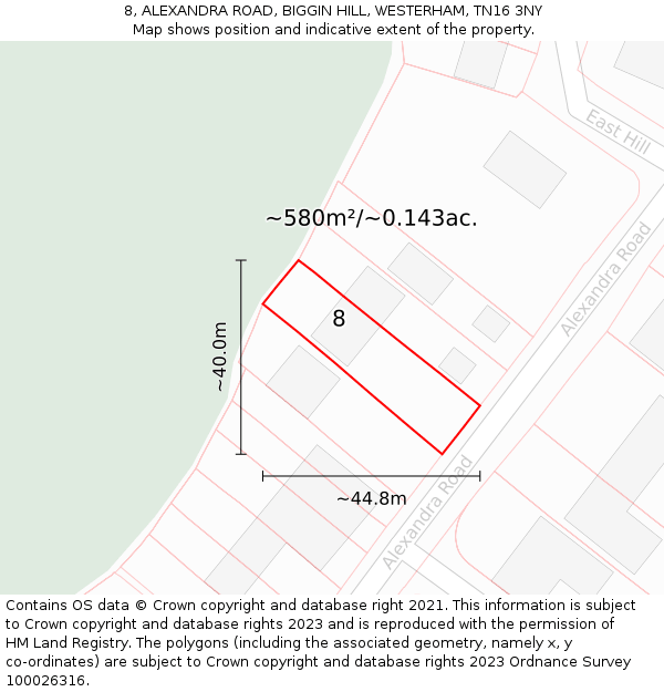 8, ALEXANDRA ROAD, BIGGIN HILL, WESTERHAM, TN16 3NY: Plot and title map