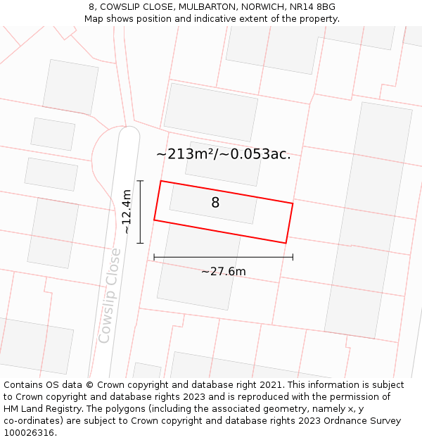 8, COWSLIP CLOSE, MULBARTON, NORWICH, NR14 8BG: Plot and title map