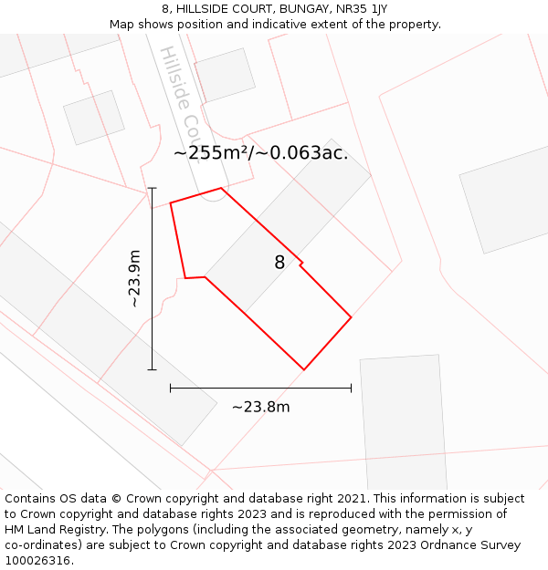 8, HILLSIDE COURT, BUNGAY, NR35 1JY: Plot and title map