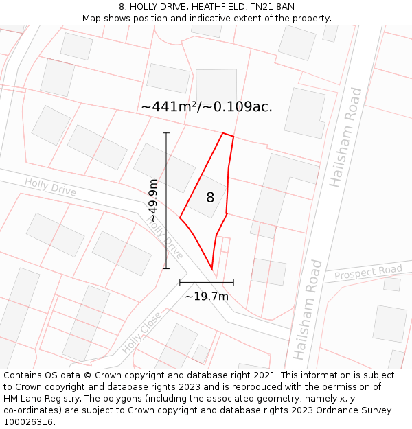 8, HOLLY DRIVE, HEATHFIELD, TN21 8AN: Plot and title map