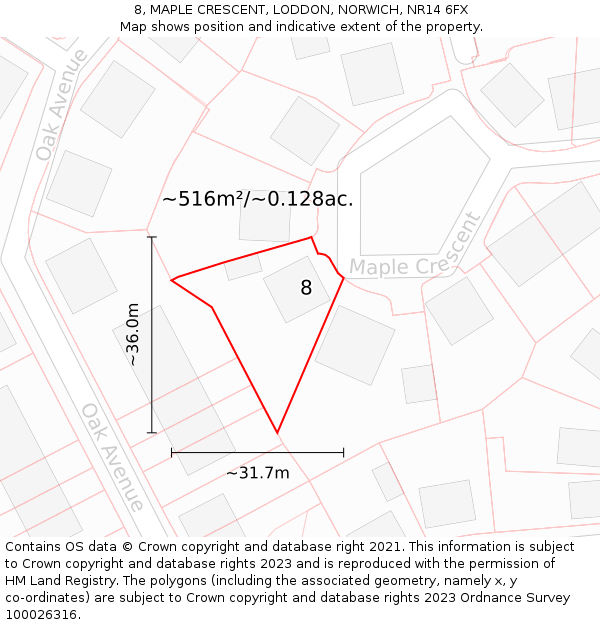 8, MAPLE CRESCENT, LODDON, NORWICH, NR14 6FX: Plot and title map