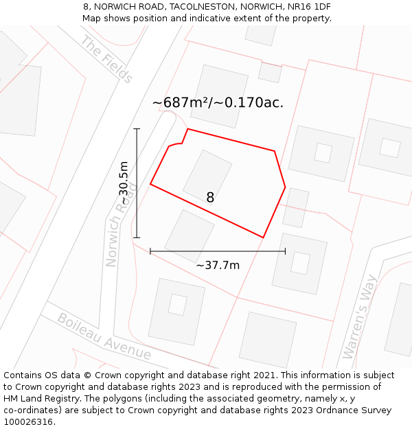 8, NORWICH ROAD, TACOLNESTON, NORWICH, NR16 1DF: Plot and title map