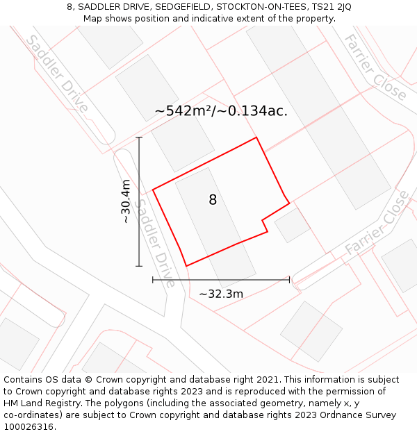 8, SADDLER DRIVE, SEDGEFIELD, STOCKTON-ON-TEES, TS21 2JQ: Plot and title map