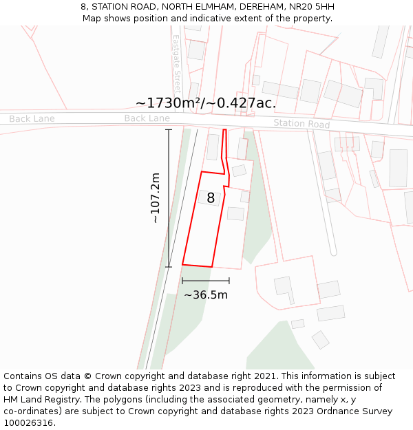 8, STATION ROAD, NORTH ELMHAM, DEREHAM, NR20 5HH: Plot and title map