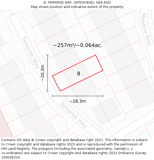 8, TAMARISK WAY, GATESHEAD, NE9 6GD: Plot and title map