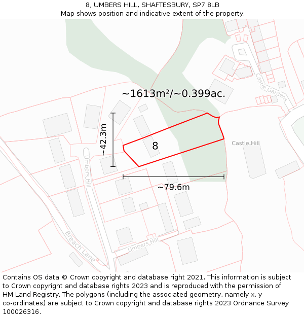 8, UMBERS HILL, SHAFTESBURY, SP7 8LB: Plot and title map