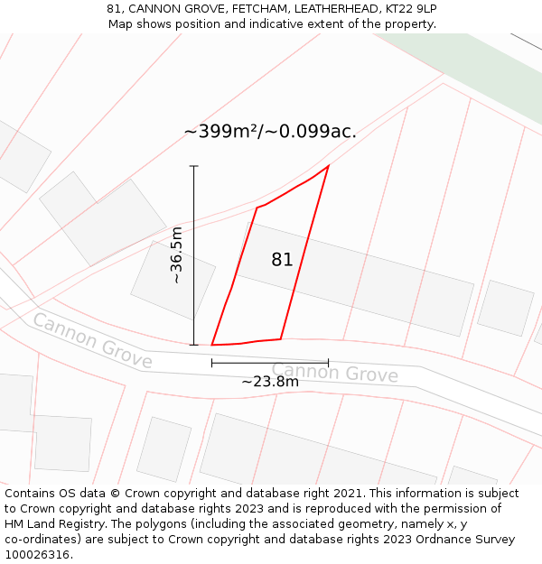 81, CANNON GROVE, FETCHAM, LEATHERHEAD, KT22 9LP: Plot and title map