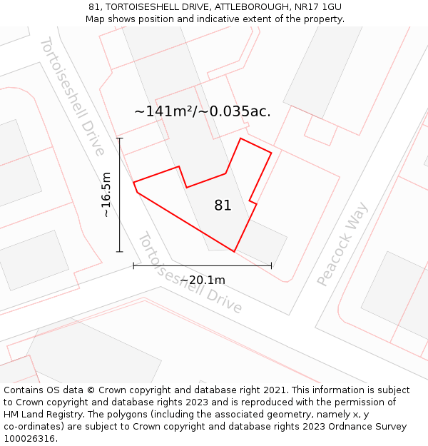 81, TORTOISESHELL DRIVE, ATTLEBOROUGH, NR17 1GU: Plot and title map