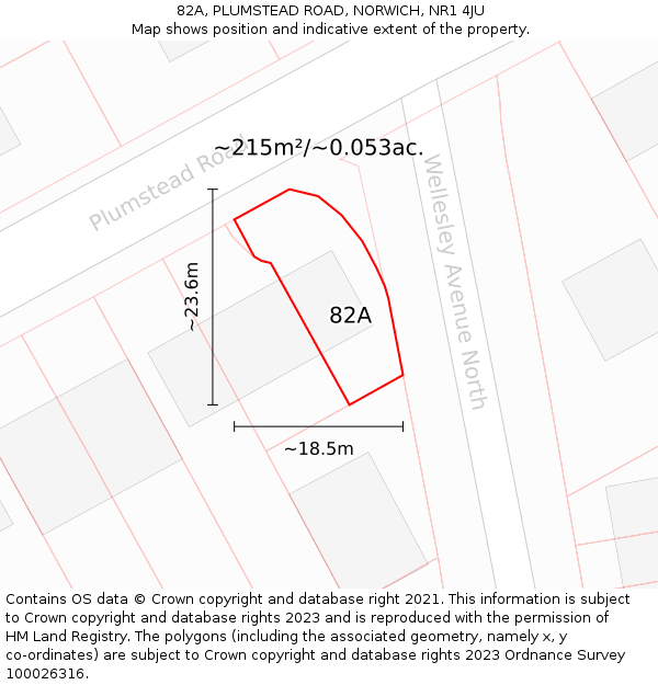 82A, PLUMSTEAD ROAD, NORWICH, NR1 4JU: Plot and title map