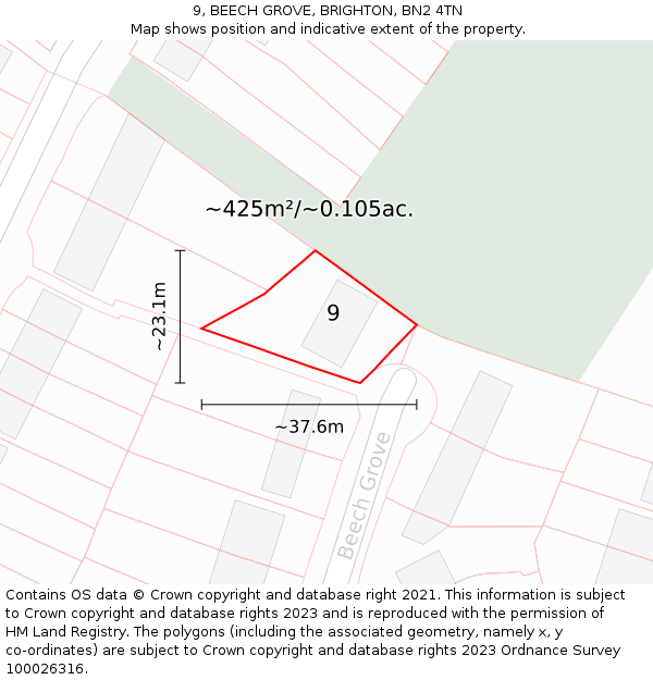 9, BEECH GROVE, BRIGHTON, BN2 4TN: Plot and title map