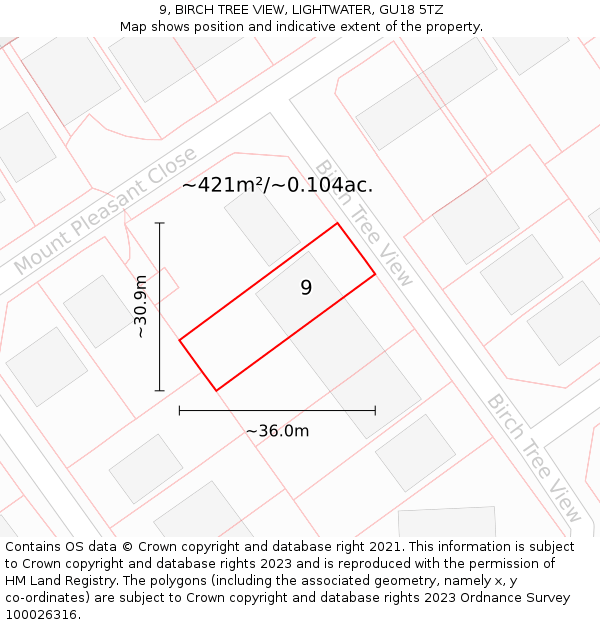 9, BIRCH TREE VIEW, LIGHTWATER, GU18 5TZ: Plot and title map