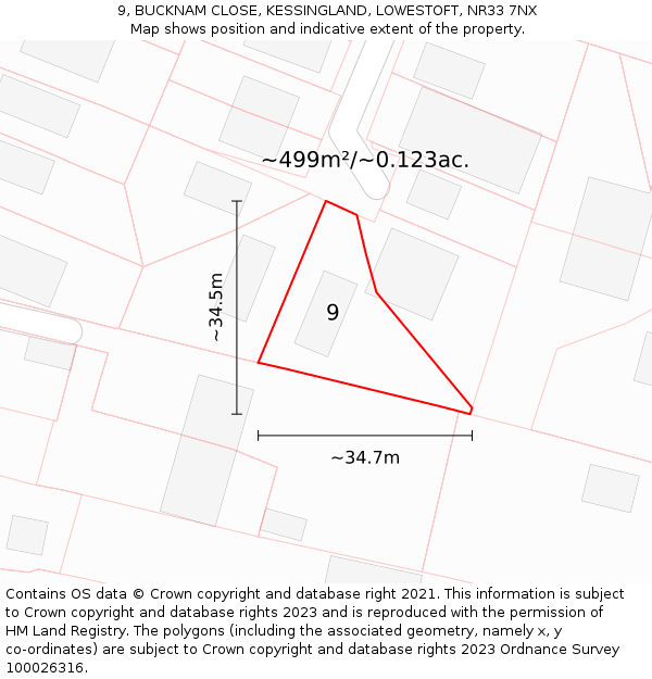 9, BUCKNAM CLOSE, KESSINGLAND, LOWESTOFT, NR33 7NX: Plot and title map