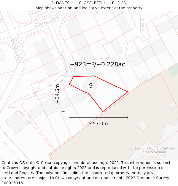 9, DANESHILL CLOSE, REDHILL, RH1 2DJ: Plot and title map