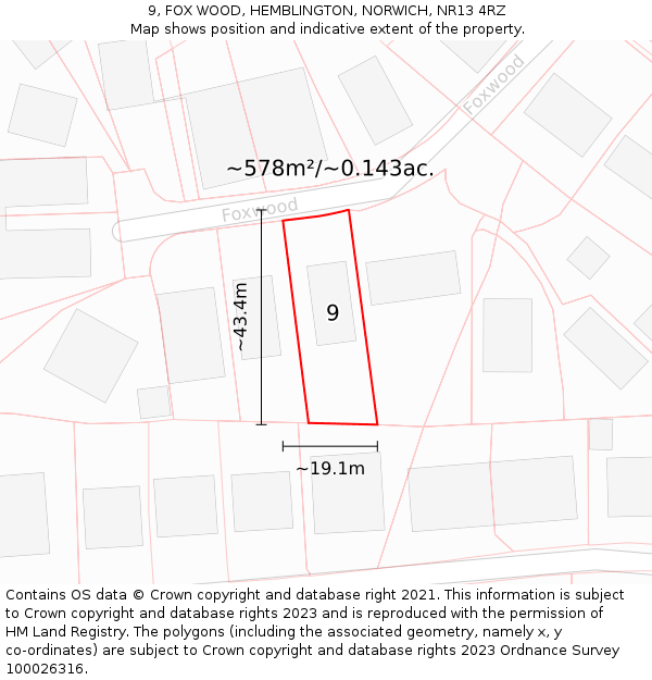 9, FOX WOOD, HEMBLINGTON, NORWICH, NR13 4RZ: Plot and title map