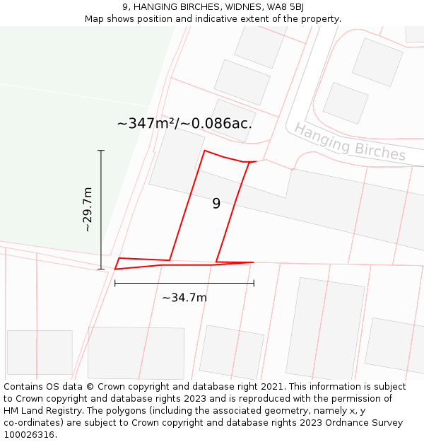 9, HANGING BIRCHES, WIDNES, WA8 5BJ: Plot and title map