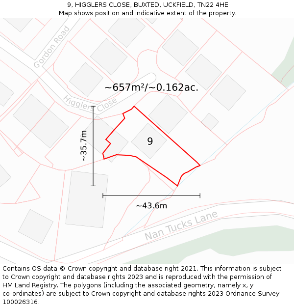 9, HIGGLERS CLOSE, BUXTED, UCKFIELD, TN22 4HE: Plot and title map