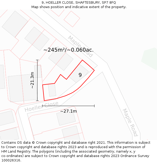 9, HOELLER CLOSE, SHAFTESBURY, SP7 8FQ: Plot and title map