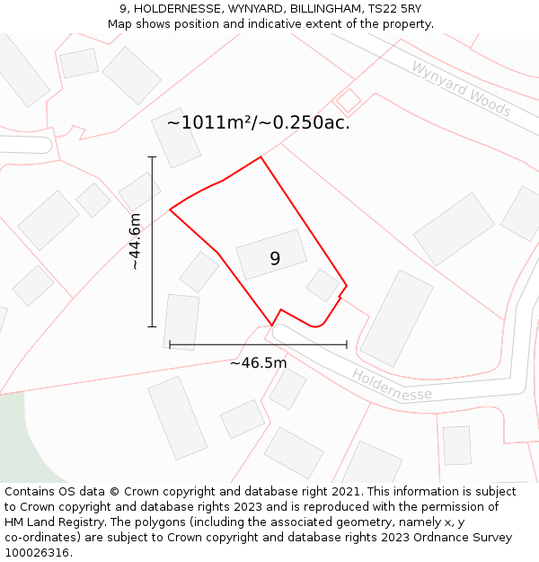 9, HOLDERNESSE, WYNYARD, BILLINGHAM, TS22 5RY: Plot and title map