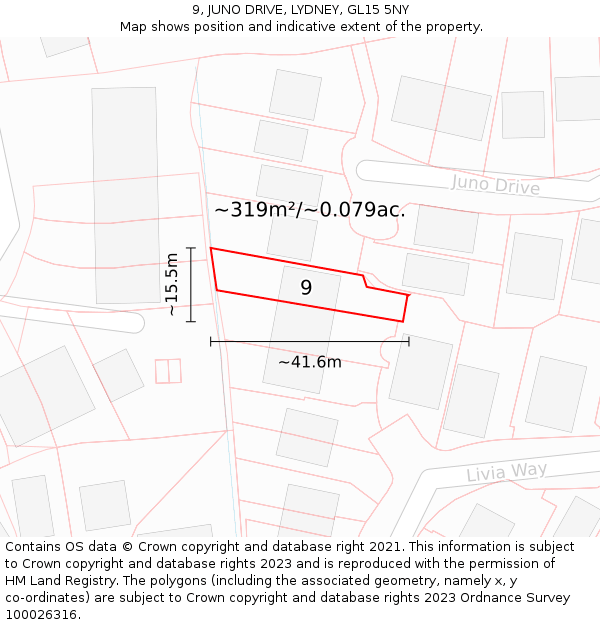 9, JUNO DRIVE, LYDNEY, GL15 5NY: Plot and title map