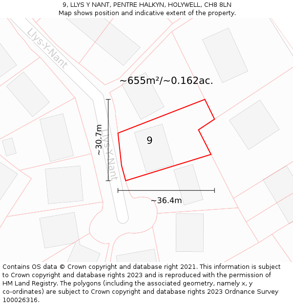 9, LLYS Y NANT, PENTRE HALKYN, HOLYWELL, CH8 8LN: Plot and title map