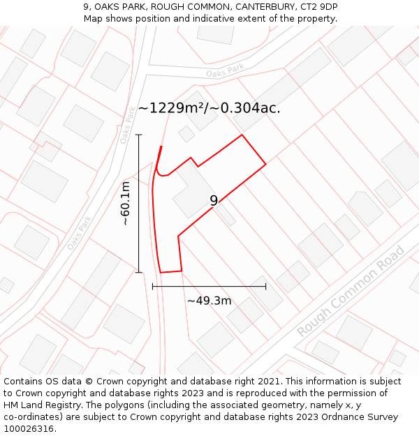 9, OAKS PARK, ROUGH COMMON, CANTERBURY, CT2 9DP: Plot and title map