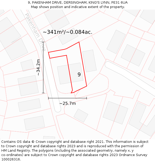 9, PAKENHAM DRIVE, DERSINGHAM, KING'S LYNN, PE31 6UA: Plot and title map