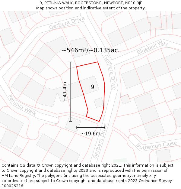 9, PETUNIA WALK, ROGERSTONE, NEWPORT, NP10 9JE: Plot and title map
