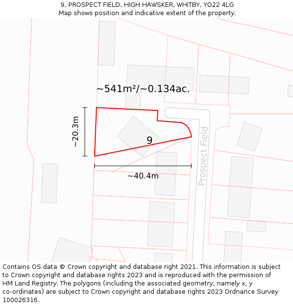 9, PROSPECT FIELD, HIGH HAWSKER, WHITBY, YO22 4LG: Plot and title map