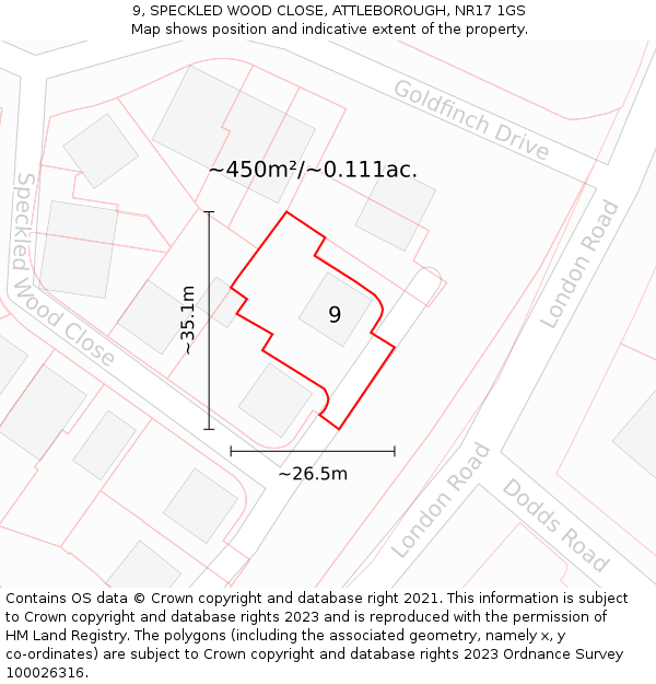 9, SPECKLED WOOD CLOSE, ATTLEBOROUGH, NR17 1GS: Plot and title map