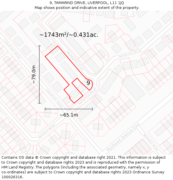 9, TAMARIND DRIVE, LIVERPOOL, L11 1JQ: Plot and title map