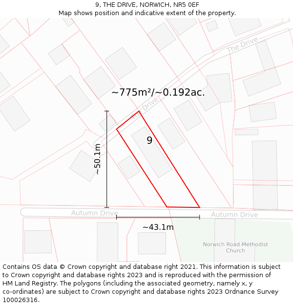 9, THE DRIVE, NORWICH, NR5 0EF: Plot and title map