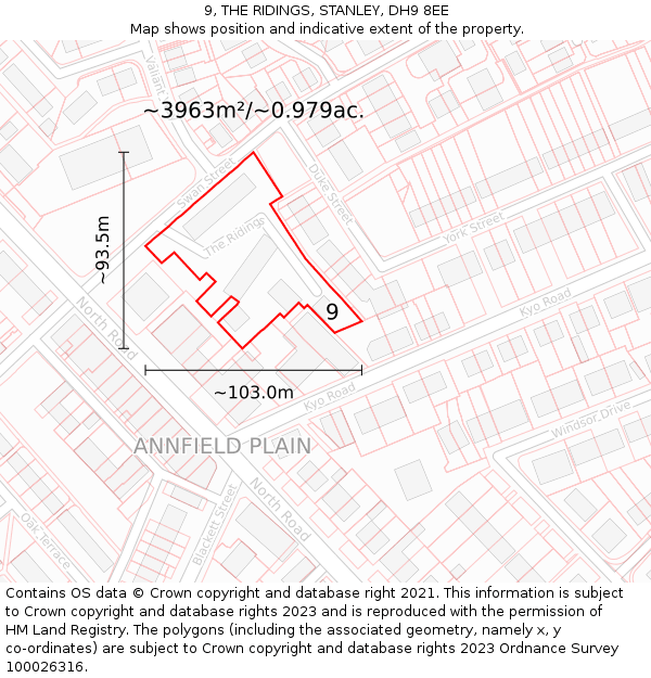 9, THE RIDINGS, STANLEY, DH9 8EE: Plot and title map