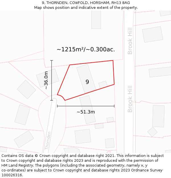 9, THORNDEN, COWFOLD, HORSHAM, RH13 8AG: Plot and title map