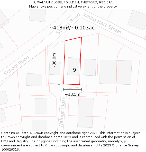 9, WALNUT CLOSE, FOULDEN, THETFORD, IP26 5AN: Plot and title map