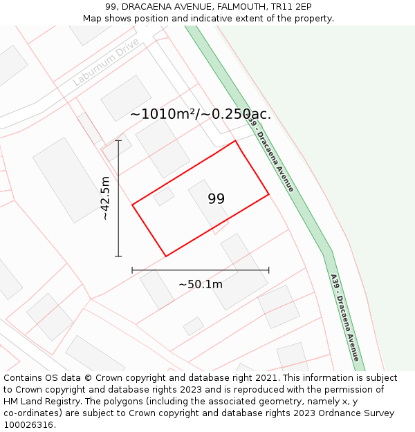 99, DRACAENA AVENUE, FALMOUTH, TR11 2EP: Plot and title map