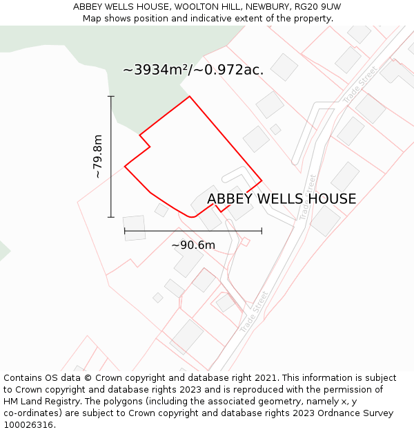 ABBEY WELLS HOUSE, WOOLTON HILL, NEWBURY, RG20 9UW: Plot and title map